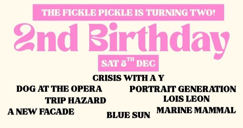 Fickle Pickle 2nd Birthday Party Day 1